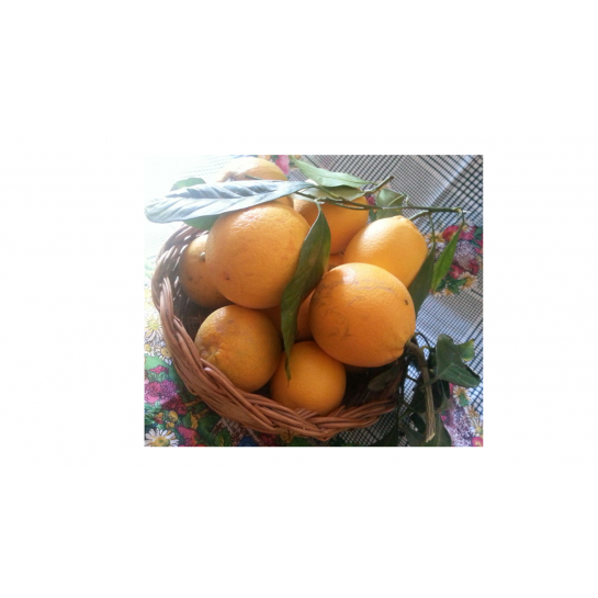 16 Kg Mix Agrumi