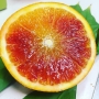 Mix Arance da Spremuta e Limoni