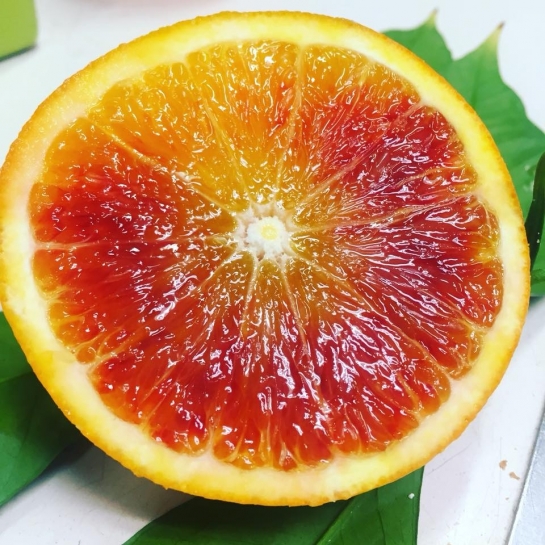 Mix Arance da Spremuta e Limoni